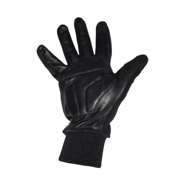 Winter Gloves godspeed brand