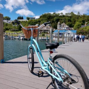 26L BFF Breakwater Blue – Mackinac bikes